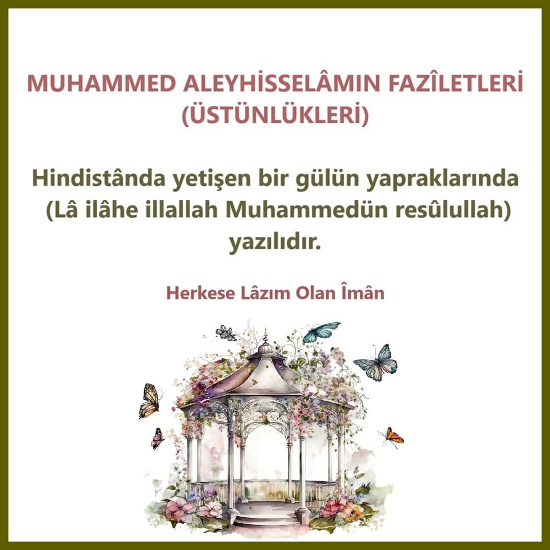 Üstünlükleri (2)